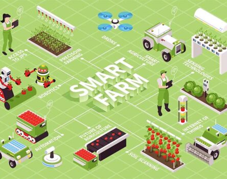 Crop Monitoring and Management